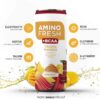 FRESH2GO AMINO FRESH 330ml – Mango