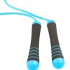 Power System Švihadlo Weighted Jump Rope