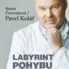 Labyrint pohybu