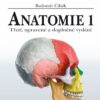 Anatomie 1