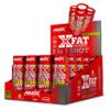 Amix XFat 2 in 1 Shot fruity 20 x 60 ml