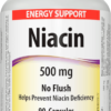 Webber Naturals Niacin 500 mg nealergický 90 kapslí